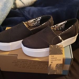 Toms the venice collection slip ons